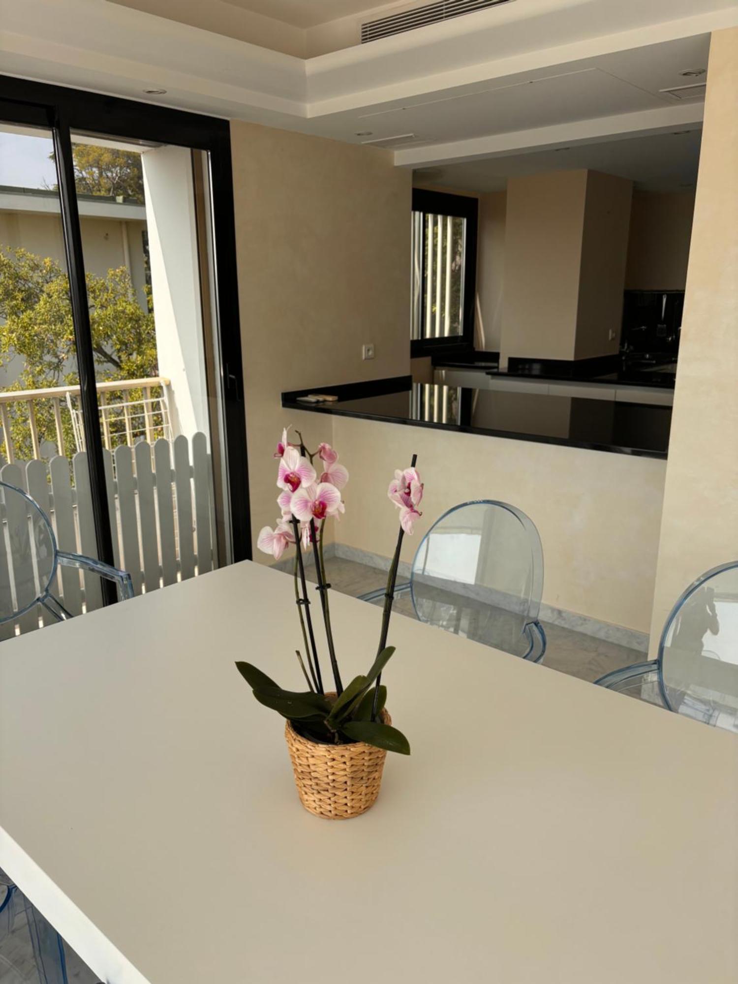 Apartment Terrasse, La Mer, Le Reve Incomparable A Cannes